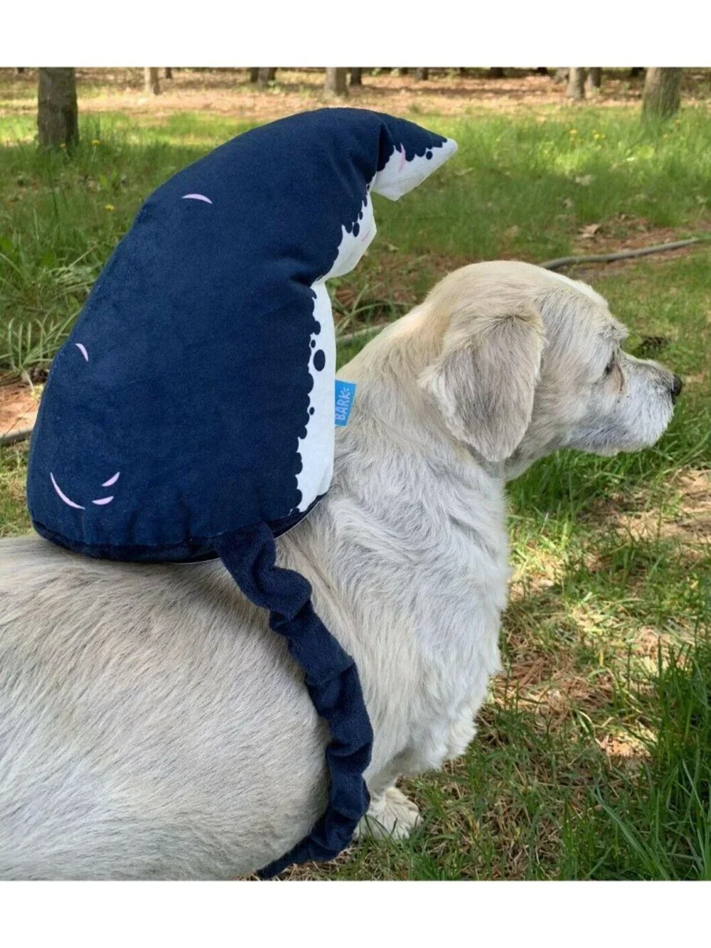 Bark Shark Fin Dog Toy costume Halloween Wearable crinkle tug Large Gift NWT New
